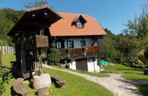 Country House Etno Kuca pod Okicem - Foto 33