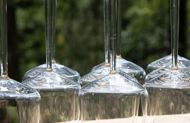 Degustazione di vino nel bosco di Espoo - Foto 1