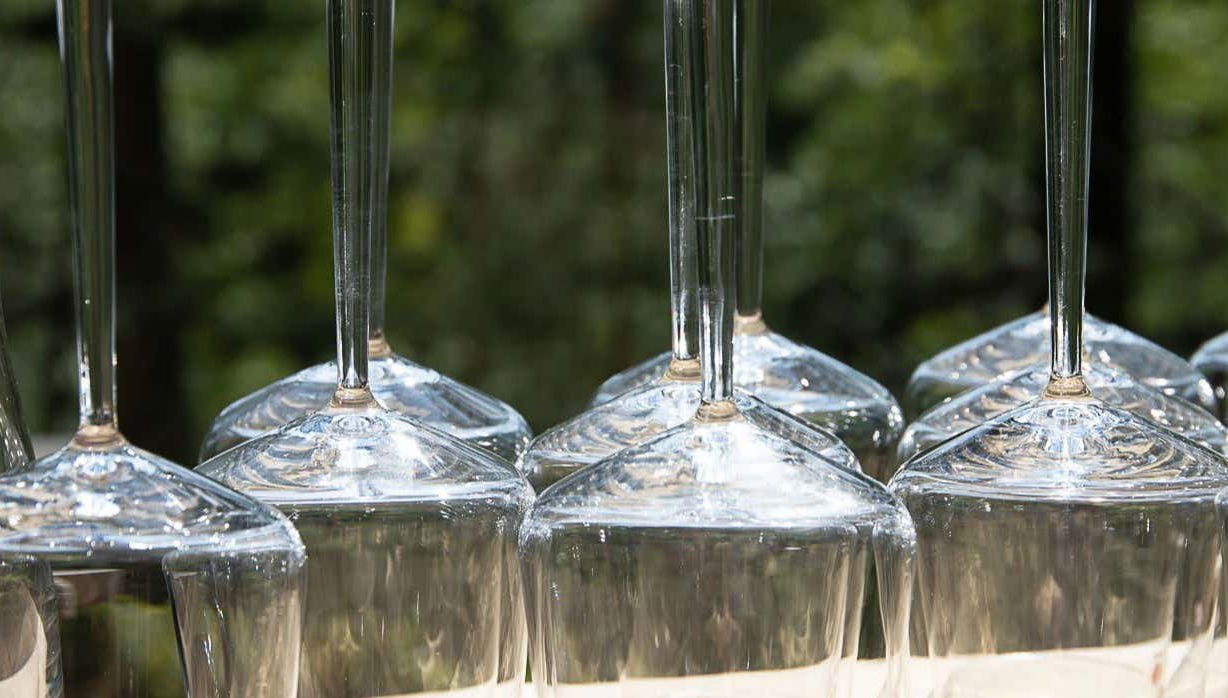 Degustação de vinhos no bosque de Espoo