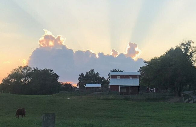 Heartland Country Resort & Lodge - Foto 45