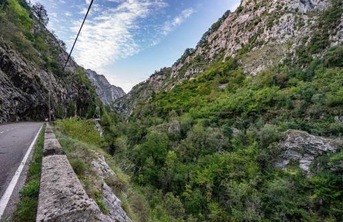 Aguas Parque Ponga - Foto 15