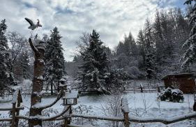 Chatka na Lipowych Wzgórzach - Foto 37
