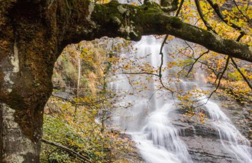 Caserio Arrigorri excelente ubicación jardín con BBQ perfecto para grupos - Foto 65