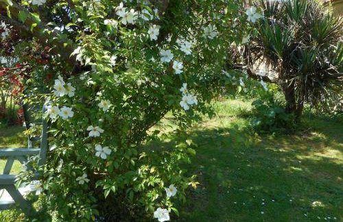Le Gite de Lili - Foto 27