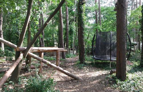 Wald und Wohlsein - Foto 48