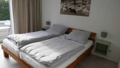 Grasshoppers - Foto 2