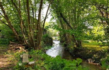 Le Calme à la source - Foto 1