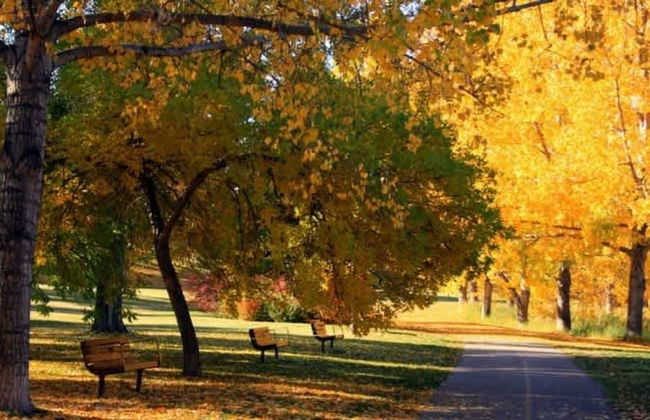 TOP 5 DT Riverside Walking Trails Free Parking - Foto 43