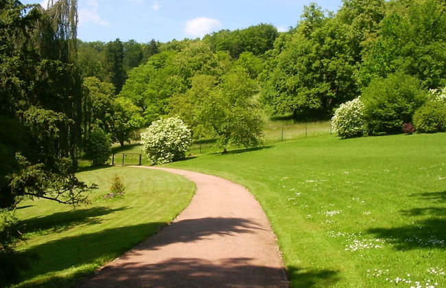 Holiday Home in the Thuringian Forest With Roof - Foto 28