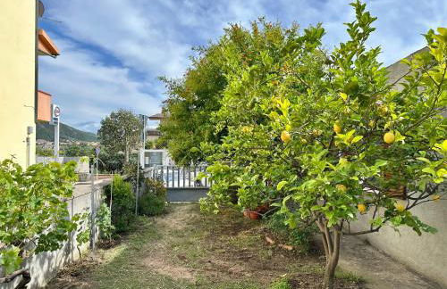 Il Melograno - Foto 35