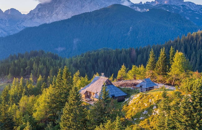 Chalet Gorenjka - Velika Planina - Foto 22