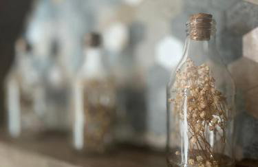 Samaya Corumbau - Photo 42