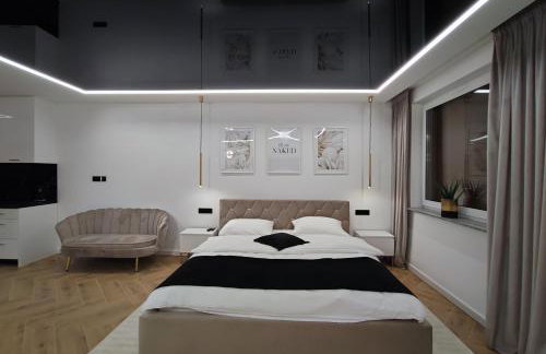 Apartament z Jacuzzi na wyłączność Dolina Baryczy - Foto 22