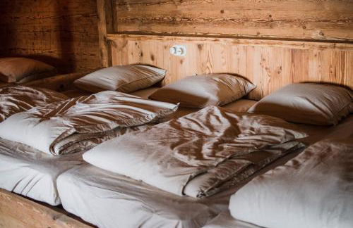 Alpage la Grand Montagne 1858 - Photo 33