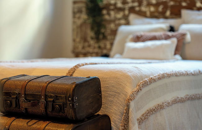 Feel Discovery P&P House Douro Valley - Foto 9