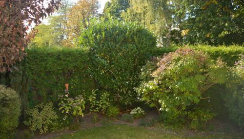 Kiek mol in - Photo 4