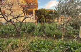 Home & Garden - Foto 57