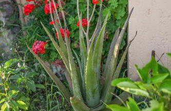 Villa Rouga by Andrian Villas - Foto 26