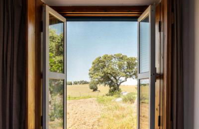 Monte das Lages - Foto 29