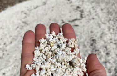 Appartement Casa Cosy - Vue mer à El Cotillo - Foto 36