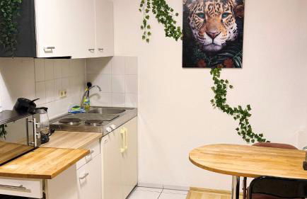 Zentrumnah inklusive Parkplatz Jungle-Suite by Rentigo - Ruheoase im Herzen von Saarbrücken! - Foto 10