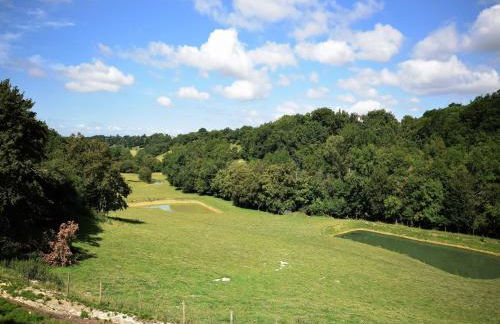 Castle 12th century with private pool close to Agen - Foto 16