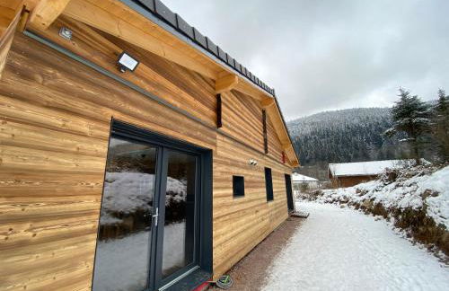 Les Chalets Perce Neige & Jacuzzi privatif, proximité Gerardmer & La Bresse - Foto 63
