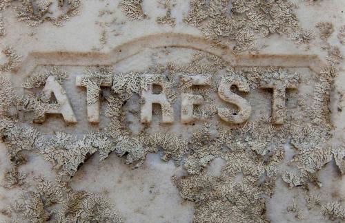 Beaufort Harbour Suites East Lodge - Foto 37