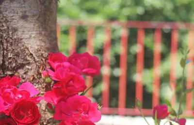 Gerês - Casa da Cabana - Foto 24