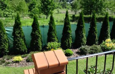 Domek pod Brzozami z jacuzzi ,grillem i tarasem - Foto 40