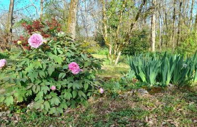 Maison Le Petit Bonheur - Foto 23