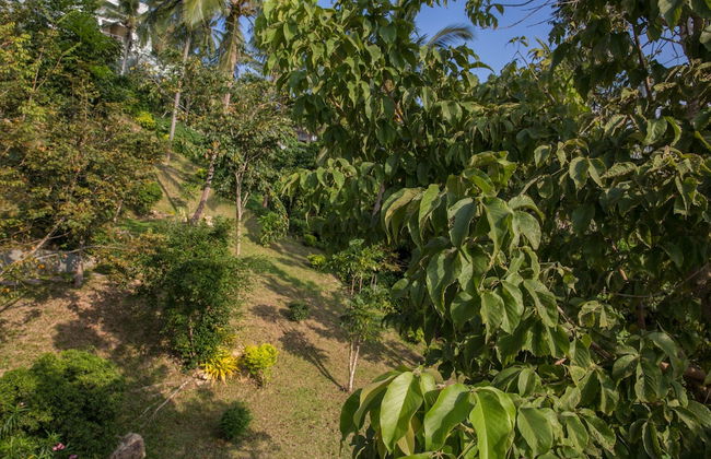 Villa Zest - Foto 59