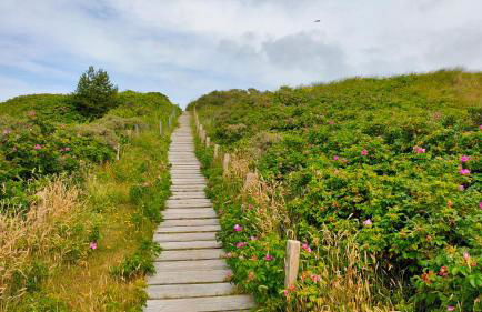 Hund im Glück - Foto 23
