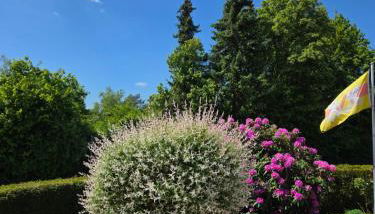 Ferienwohnung Irmgard und Ferienwohnung Gerlinde - Foto 4
