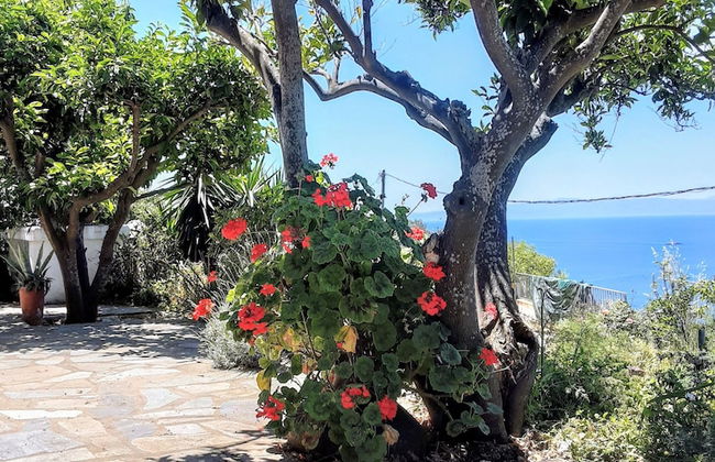 Paradise Found - A Greek Retreat With The View - Foto 21