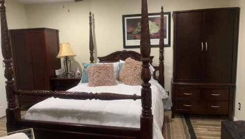 Entire Apartment Suite family singles Couples Nurses dinners business meetings - Photo 3