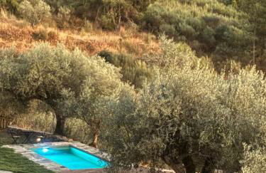 Casas na montanha vistas fantásticas com piscina - Foto 6