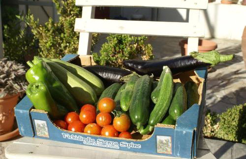 O Ioannis - Photo 37