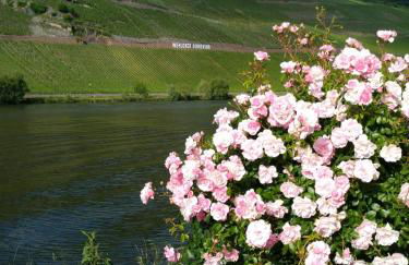 Ferienwohnungen und Gästezimmer Peter Busch - Foto 19