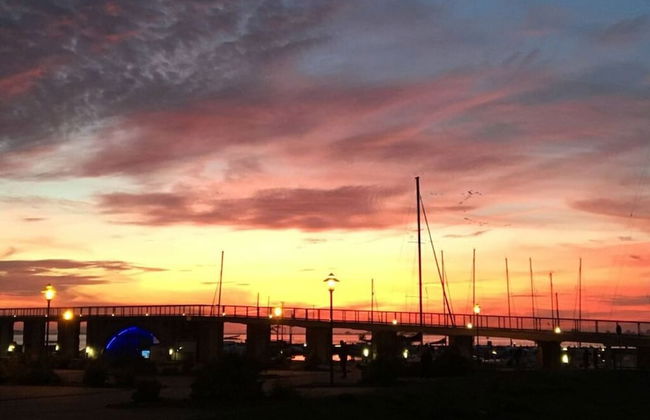 Black-headed Gull Comfortable Holiday Residence - Foto 9