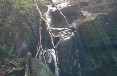 Meadow House Backcountry Residency - Foto 13