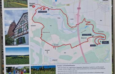 Ferienglück im Schwarzwald - Foto 27