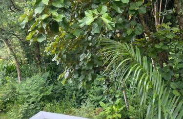 Linda Casa em uma linda praia - Santiago/ Maresias - Foto 25