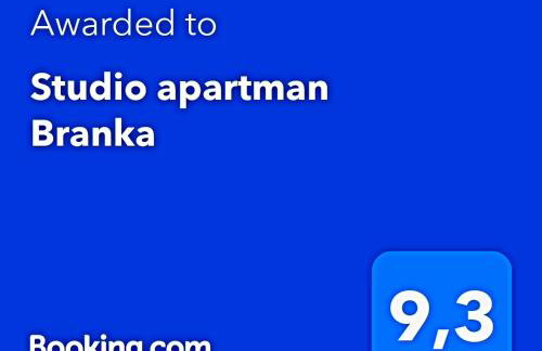 Studio apartman Branka - Foto 29