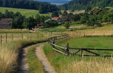 FeWo Am Neckarsteig - Foto 11