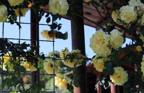 Agriturismo Colle Mura - Foto 31