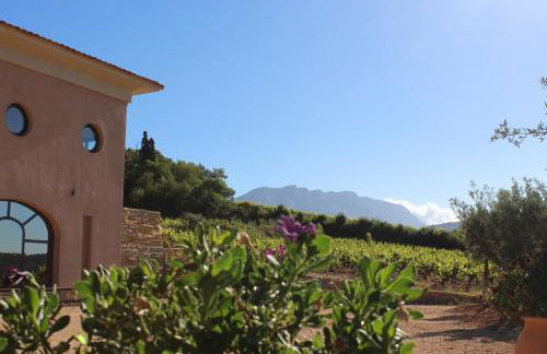 La Bastide - Le Grenache - Le Syrah au Domaine Chateau Henri Bonnaud - Foto 59