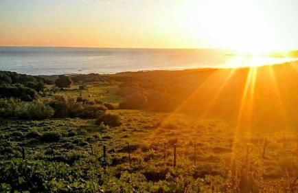 Charming house with sea and mountain views in El Chaparral - Foto 7