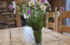 La ferme de Jouane - Photo 12