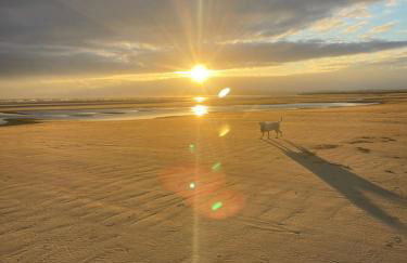 K238, Pequeno Castelo - Foto 28